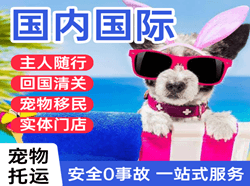 舟山空运国际宠物托运 【国